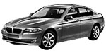 BMW F10 P0822 Fault Code
